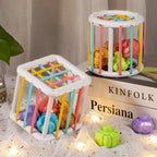 Baby Montessori Shape Sorter Cube Rainbow Blocks Educational Sorting Toy for Toddlers Learning Game - A024