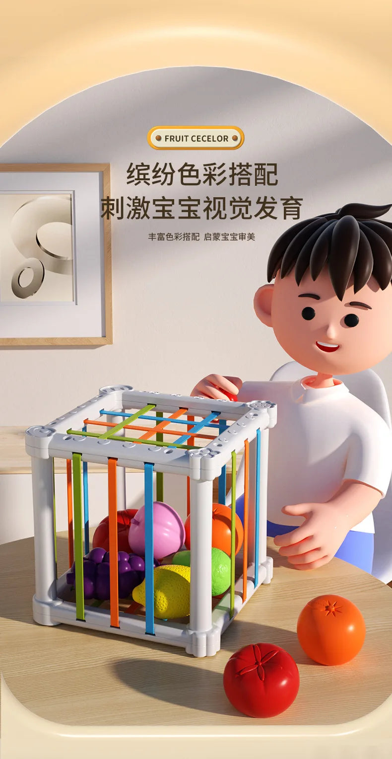 Baby Montessori Shape Sorter Cube Rainbow Blocks Educational Sorting Toy for Toddlers Learning Game - A024