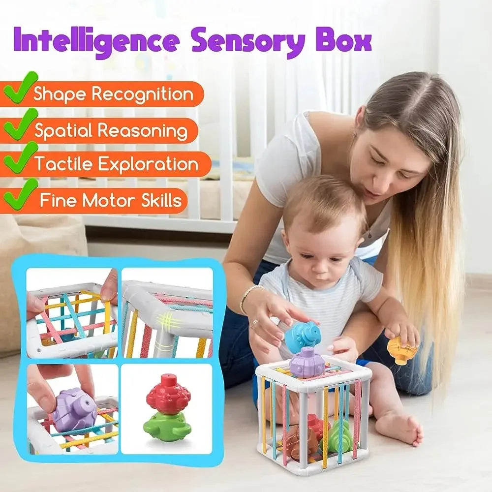 Baby Montessori Shape Sorter Cube Rainbow Blocks Educational Sorting Toy for Toddlers Learning Game - A024