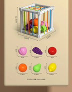 Baby Montessori Shape Sorter Cube Rainbow Blocks Educational Sorting Toy for Toddlers Learning Game - A024