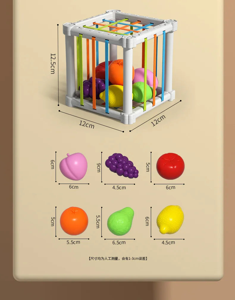 Baby Montessori Shape Sorter Cube Rainbow Blocks Educational Sorting Toy for Toddlers Learning Game - A024